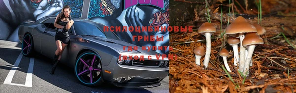 mix Зерноград