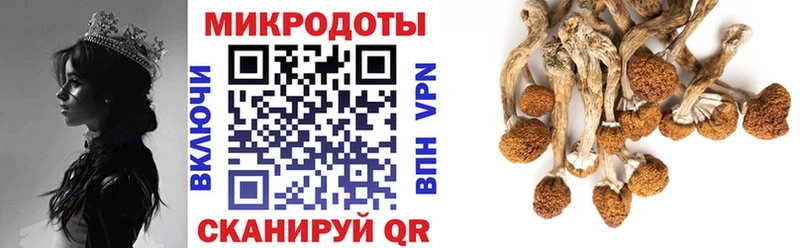 Галлюциногенные грибы ЛСД  Купить где  Дегтярск 