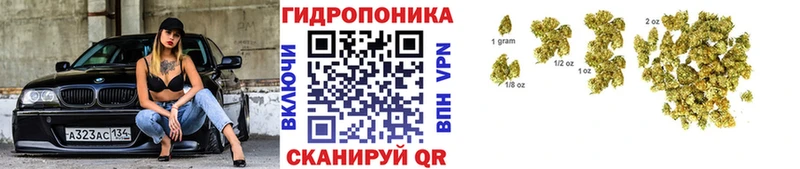 Купить  Дегтярск  Шишки марихуана индика 